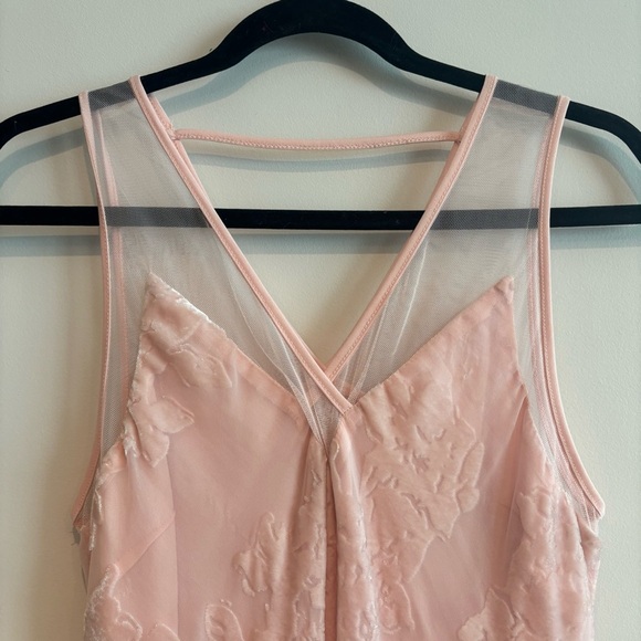 Spirit of Grace Pink Velvet Burnout Dress XS Balletcore Sheer Fairycore Mesh - Picture 11 of 12